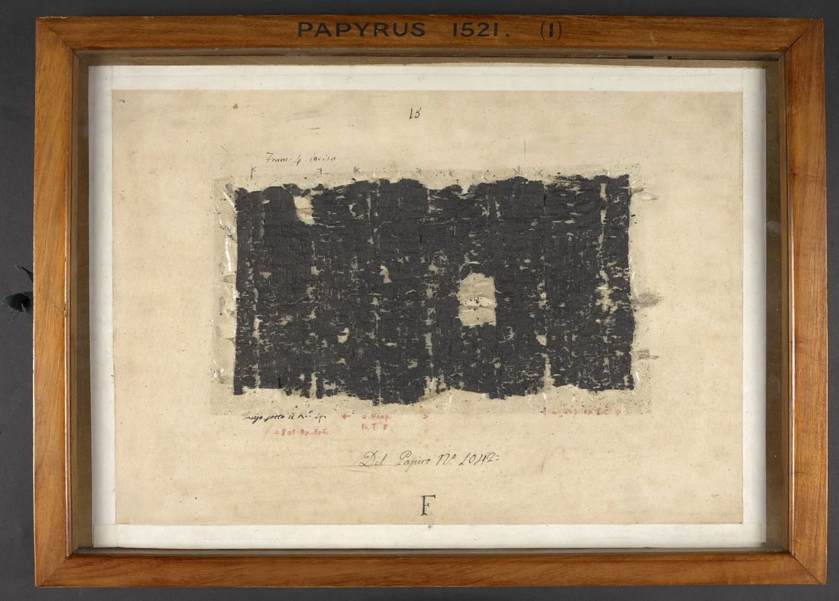 Poszarpane fragmenty papirusu PHerc. 1521 z greckimi literami.