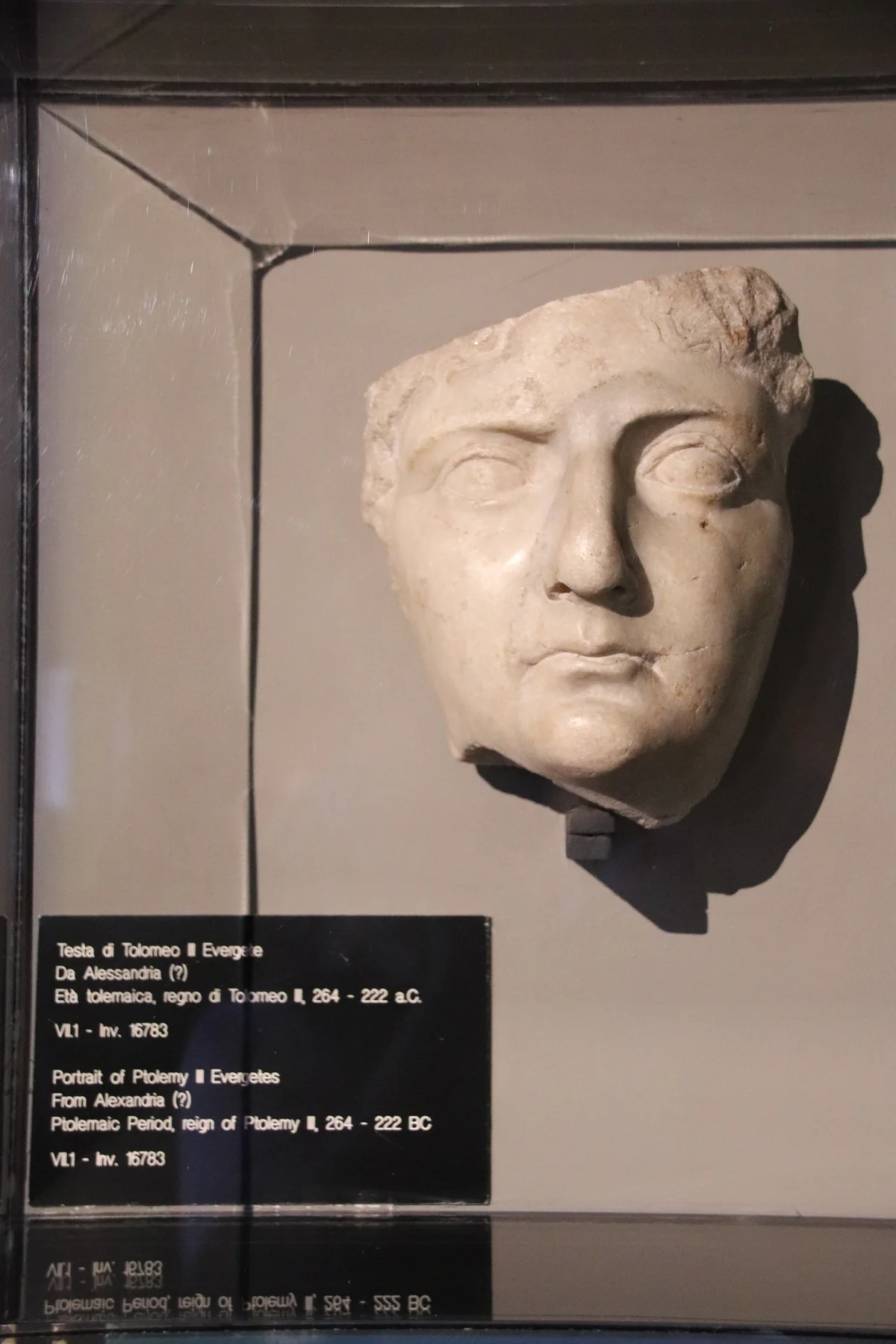 Antyczna marmurowa głowa władcy identyfikowanego jako Ptolemeusz III.
